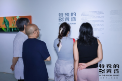 刘蓂个展“特殊的黄昏“北京开幕——一